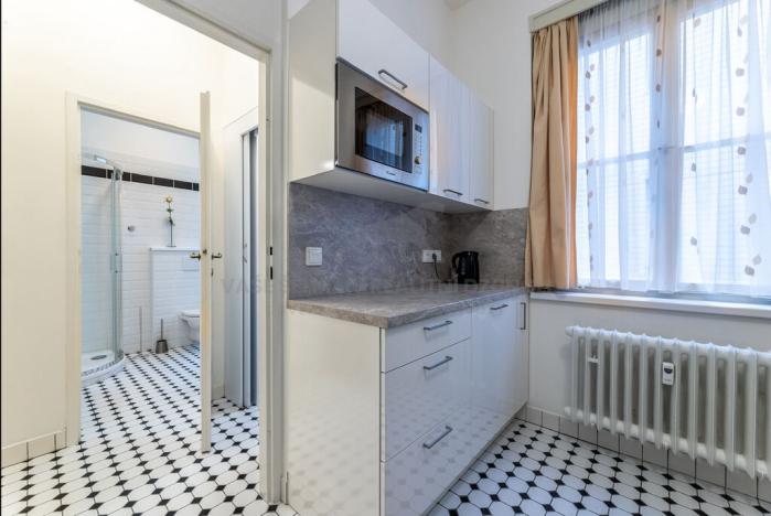 Pronájem bytu 1+kk, Praha - Staré Město, Revoluční, 37 m2