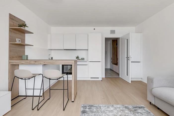 Pronájem bytu 1+kk, Praha - Vysočany, Hindlova, 30 m2