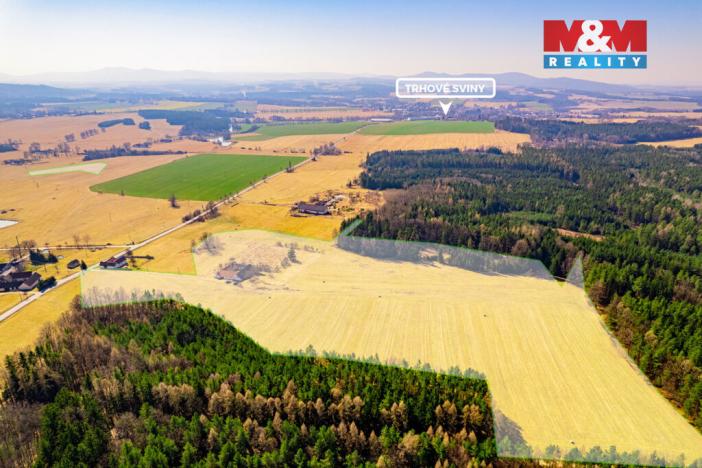 Prodej zemědělské usedlosti, Trhové Sviny - Třebíčko, 71 m2