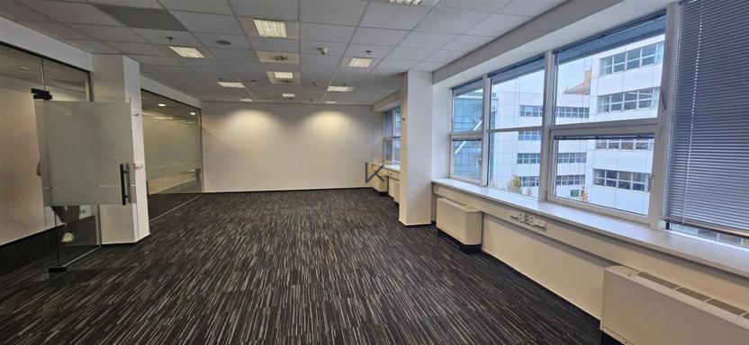 Pronájem kanceláře, Praha, Radlická, 576 m2