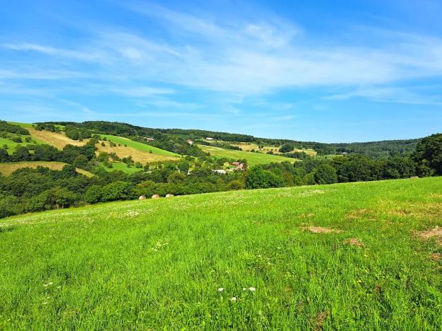 Prodej louky, Vizovice, 17696 m2