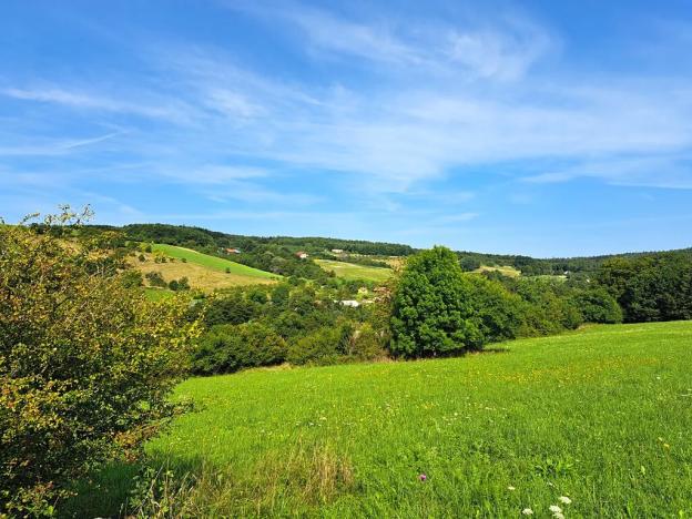 Prodej louky, Vizovice, 17696 m2