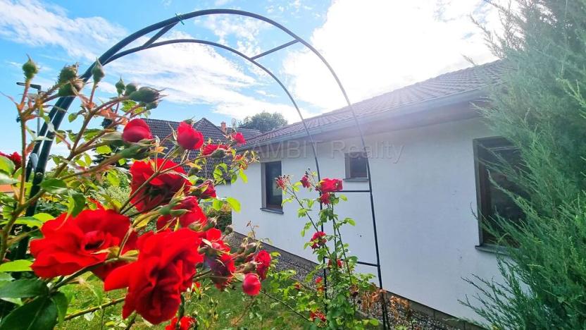 Prodej rodinného domu, Všestary, K lesu, 143 m2