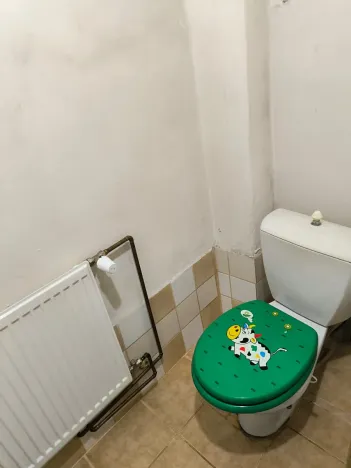 Pronájem bytu 1+1, Chabařovice, 40 m2