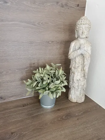 Pronájem bytu 3+kk, Plzeň, Plzeňská, 95 m2