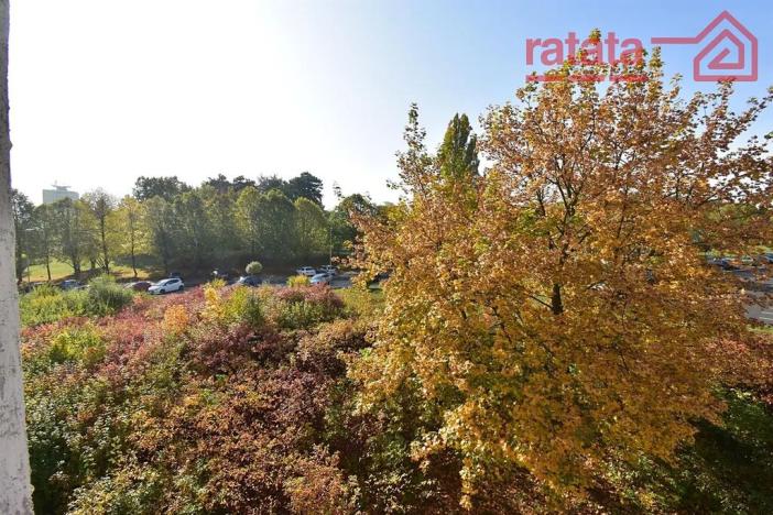 Pronájem bytu 1+1, Klášterec nad Ohří, Olšová, 40 m2