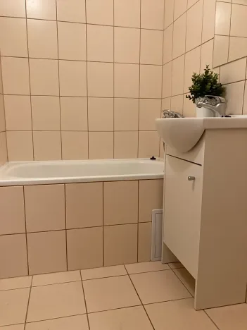 Pronájem bytu 1+1, Chomutov, Šafaříkova, 37 m2