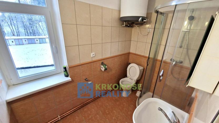 Pronájem bytu 2+1, Kunčice nad Labem, 47 m2