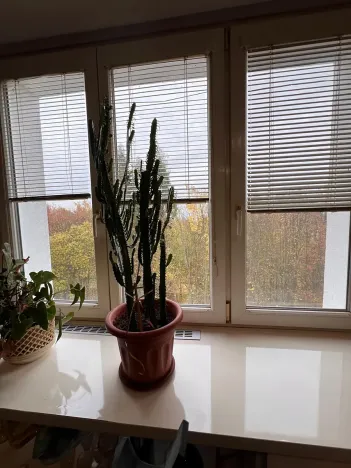 Prodej bytu 2+1, Karlovy Vary, Maďarská, 61 m2