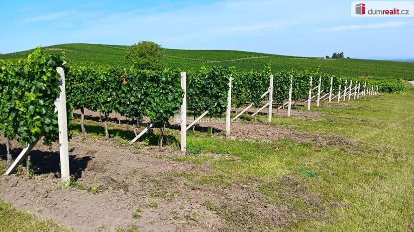 Prodej pole, Dolní Dunajovice, 20996 m2