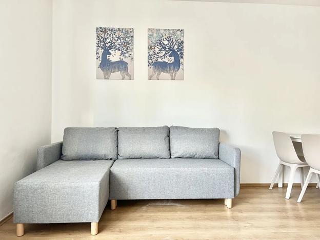 Pronájem bytu 2+kk, Praha - Nusle, Mojmírova, 48 m2