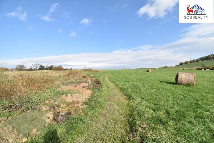 Prodej pozemku, Děčín, 29187 m2