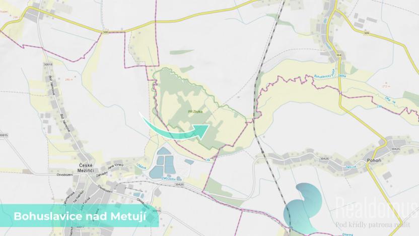 Prodej pozemku, Bohuslavice, 43749 m2