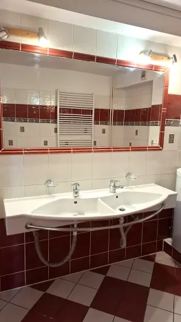 Pronájem bytu 4+kk, Plzeň, Přemyslova, 180 m2