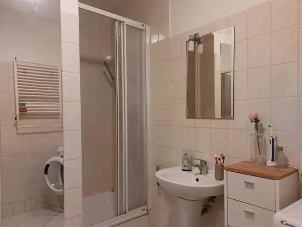 Pronájem bytu 1+kk, Brno, Kuklenská, 37 m2