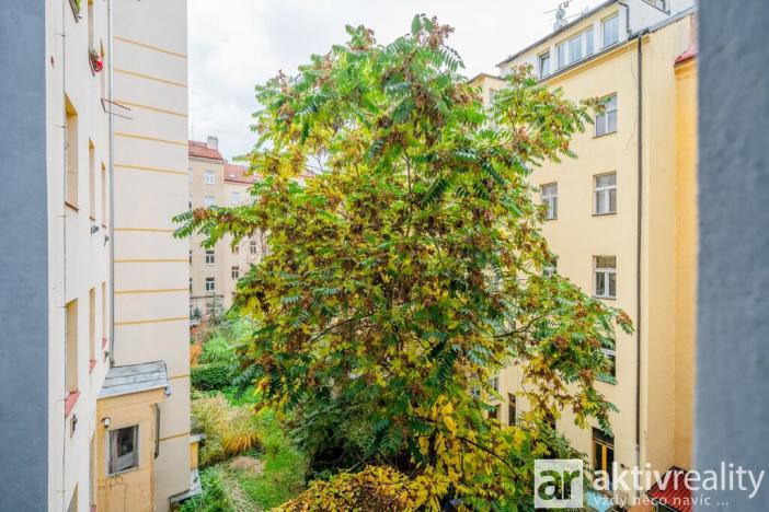 Pronájem bytu 4+1, Praha - Vinohrady, Polská, 134 m2