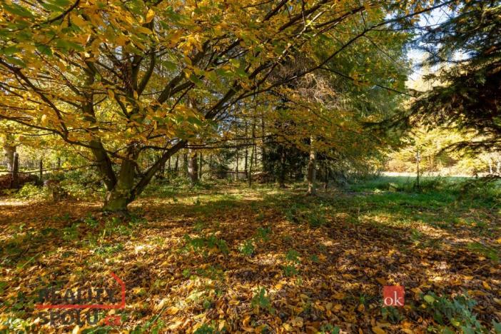 Prodej bytu 2+1, Zátor - Loučky, 75 m2