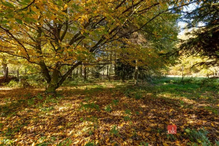 Prodej bytu 2+1, Zátor - Loučky, 75 m2