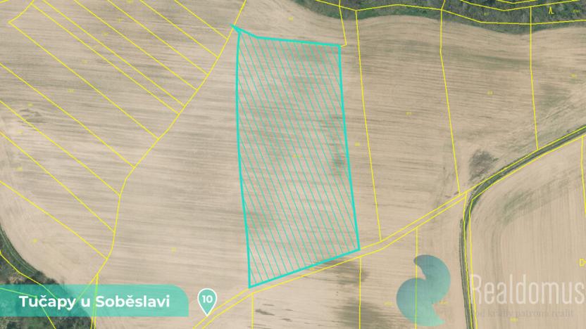 Prodej podílu 1/8 pozemku, Tučapy, 11561 m2