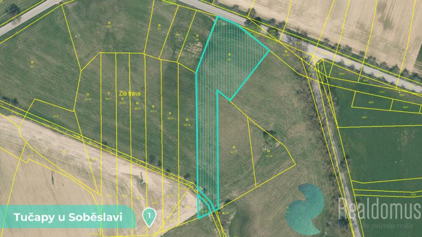 Prodej podílu 1/8 pozemku, Tučapy, 11561 m2