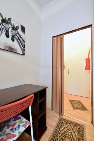 Pronájem bytu 1+kk, Brno - Staré Brno, Náplavka, 20 m2