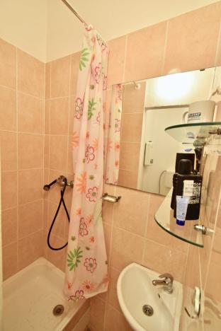Pronájem bytu 1+kk, Brno - Staré Brno, Náplavka, 20 m2