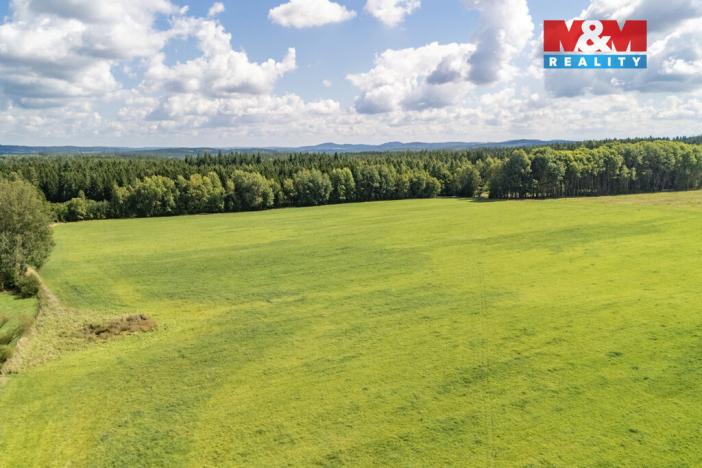 Prodej komerčního pozemku, Přimda - Mlýnec, 238031 m2