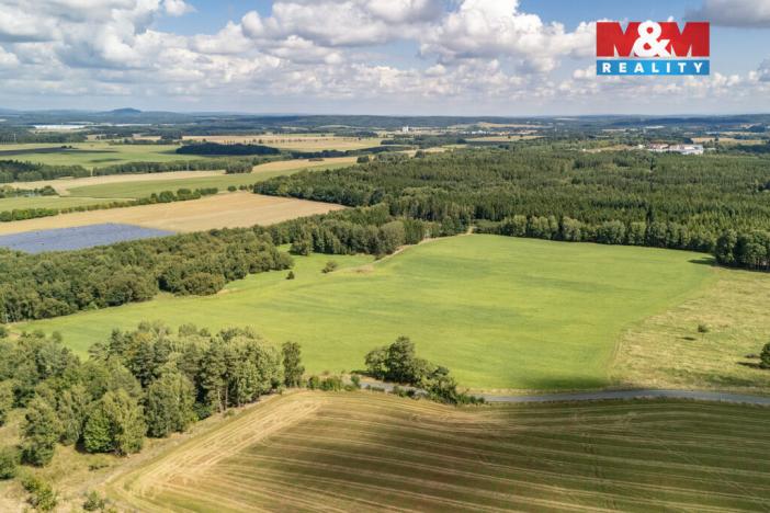 Prodej komerčního pozemku, Přimda - Mlýnec, 238031 m2