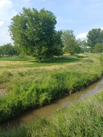 Prodej zahrady, Bučovice, 2010 m2