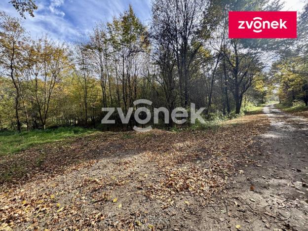 Prodej louky, Březolupy, 4884 m2