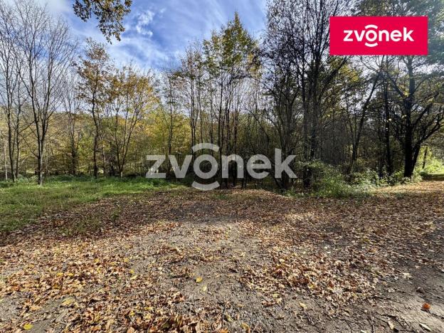 Prodej louky, Březolupy, 4884 m2