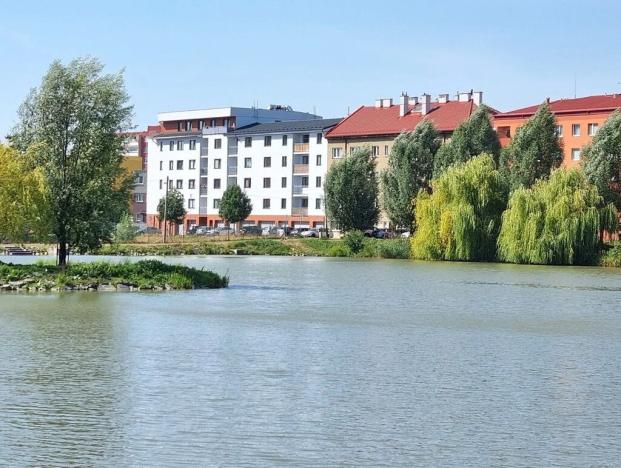 Prodej bytu 1+kk, Hranice, Jiřího z Poděbrad, 36 m2