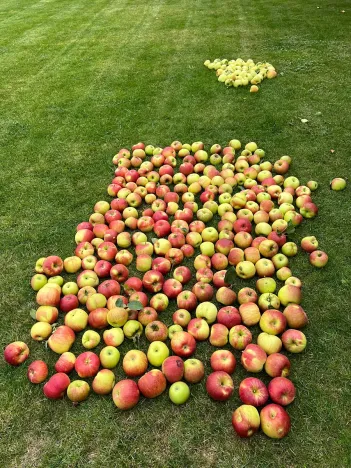 Prodej rodinného domu, Dobřejovice, Nad Mlýnským Rybníkem, 180 m2