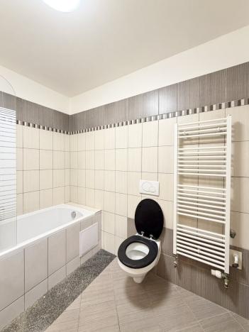 Pronájem bytu 1+1, Liberec - Liberec XXX-Vratislavice nad Nisou, Dlážděná, 40 m2