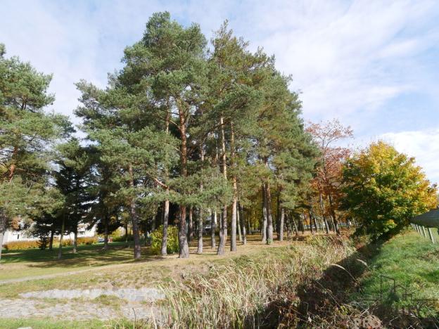 Prodej garáže, Hradec Králové, Mrštíkova, 19 m2