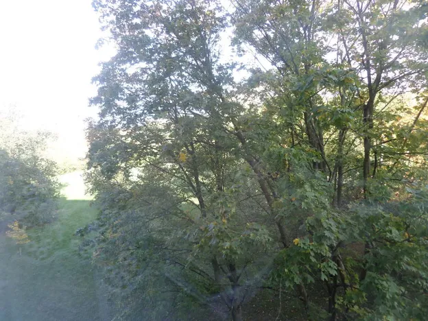 Pronájem bytu 2+1, Brno, Loosova, 56 m2