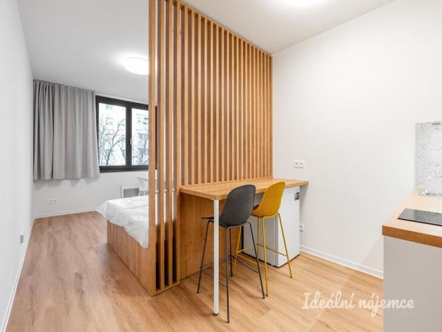 Pronájem bytu 1+kk, Praha, Na Větrníku, 27 m2