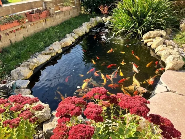 Pronájem rodinného domu, Dobronín, 250 m2