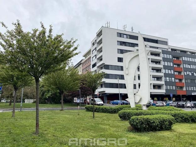 Pronájem bytu 2+kk, Brno, Mezírka, 78 m2