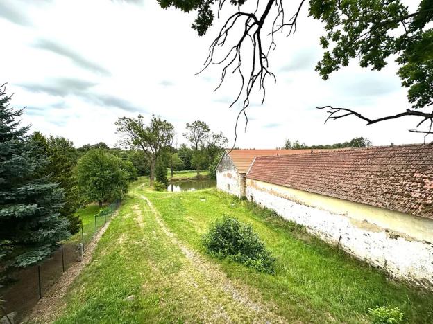 Prodej obchodního prostoru, Polesí, 150 m2