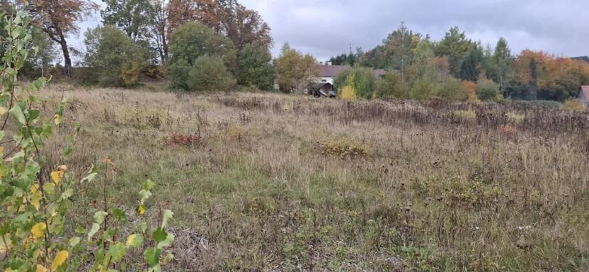 Prodej pozemku pro bydlení, Skalná, Písečná, 10095 m2