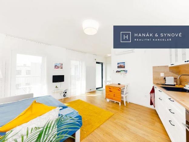 Pronájem bytu 1+kk, Brno, Francouzská, 27 m2