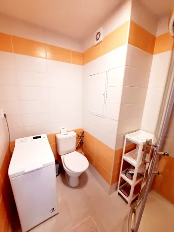 Prodej bytu 1+1, Praha - Podolí, Kaplická, 33 m2