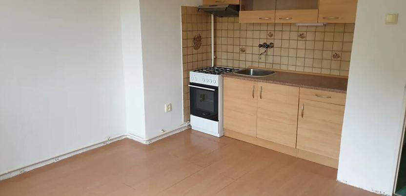 Pronájem bytu 1+kk, Novosedlice, Drahénská, 30 m2