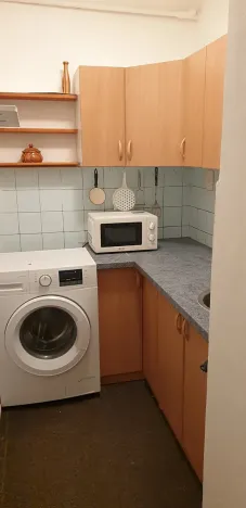 Pronájem bytu 1+kk, Teplice, Petra Jilemnického, 30 m2