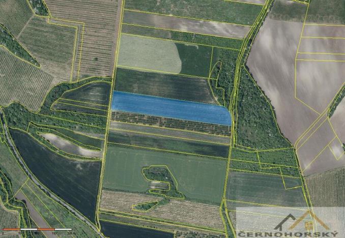 Prodej sadu/vinice, Želkovice, 59448 m2