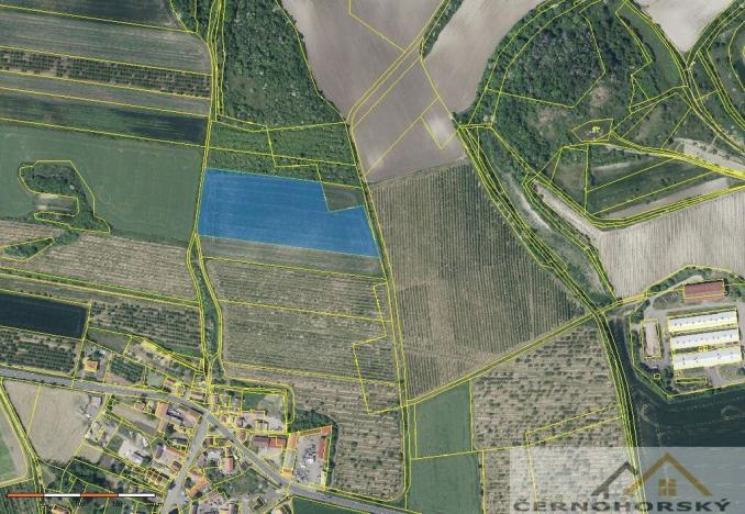 Prodej sadu/vinice, Želkovice, 59448 m2