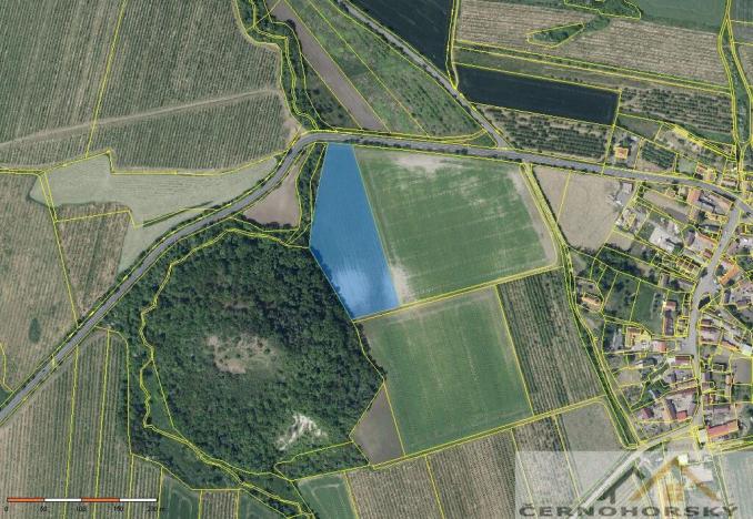 Prodej sadu/vinice, Želkovice, 59448 m2