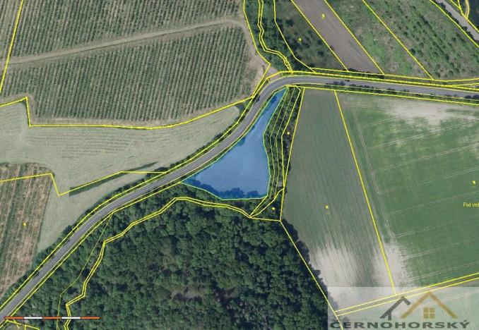 Prodej sadu/vinice, Želkovice, 59448 m2