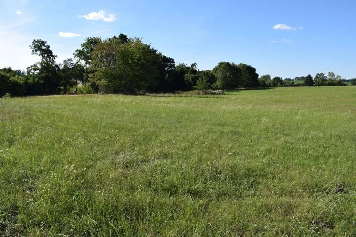 Prodej pozemku pro bydlení, Předslavice, 2846 m2